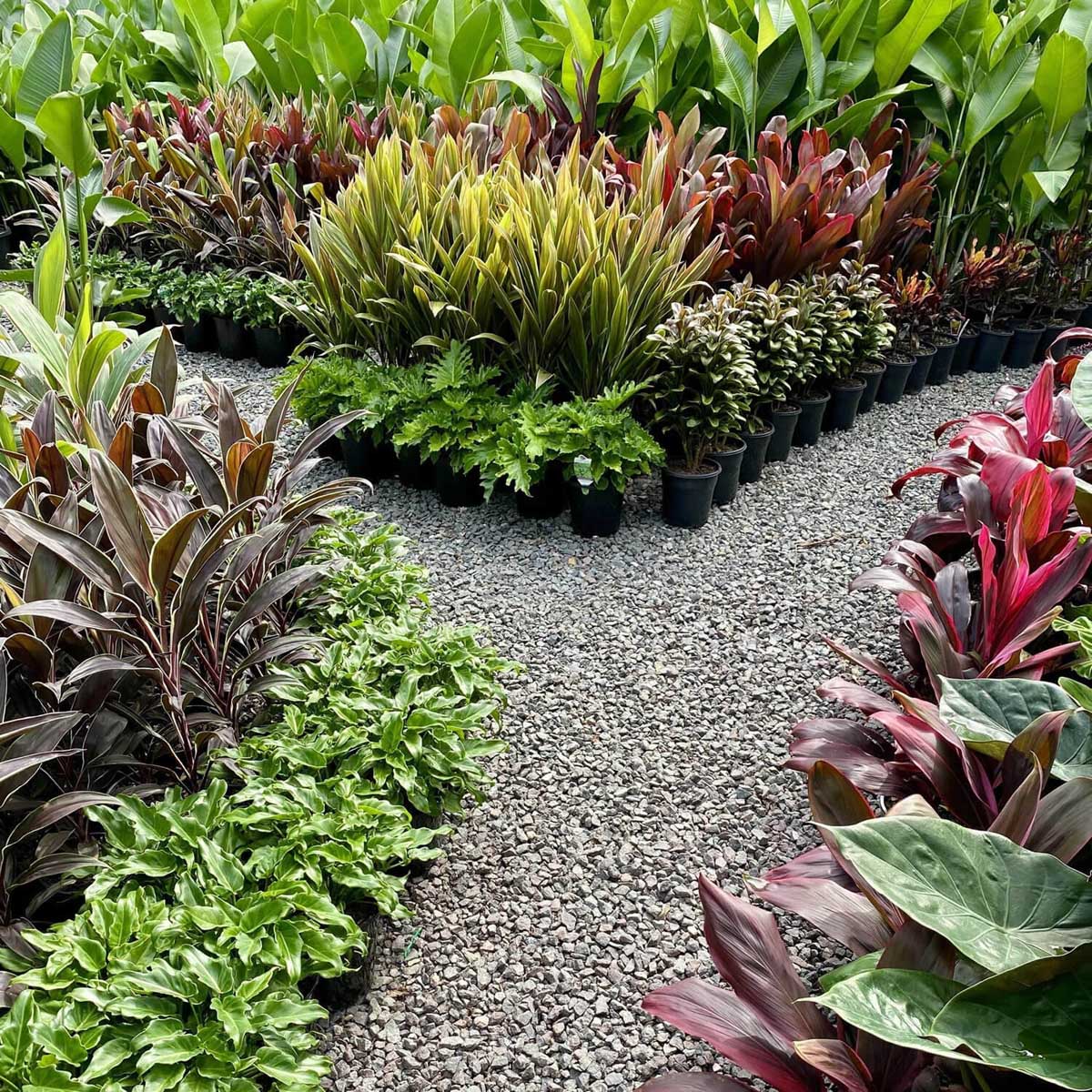 How do I Prepare My Yard for Landscaping in Perth?